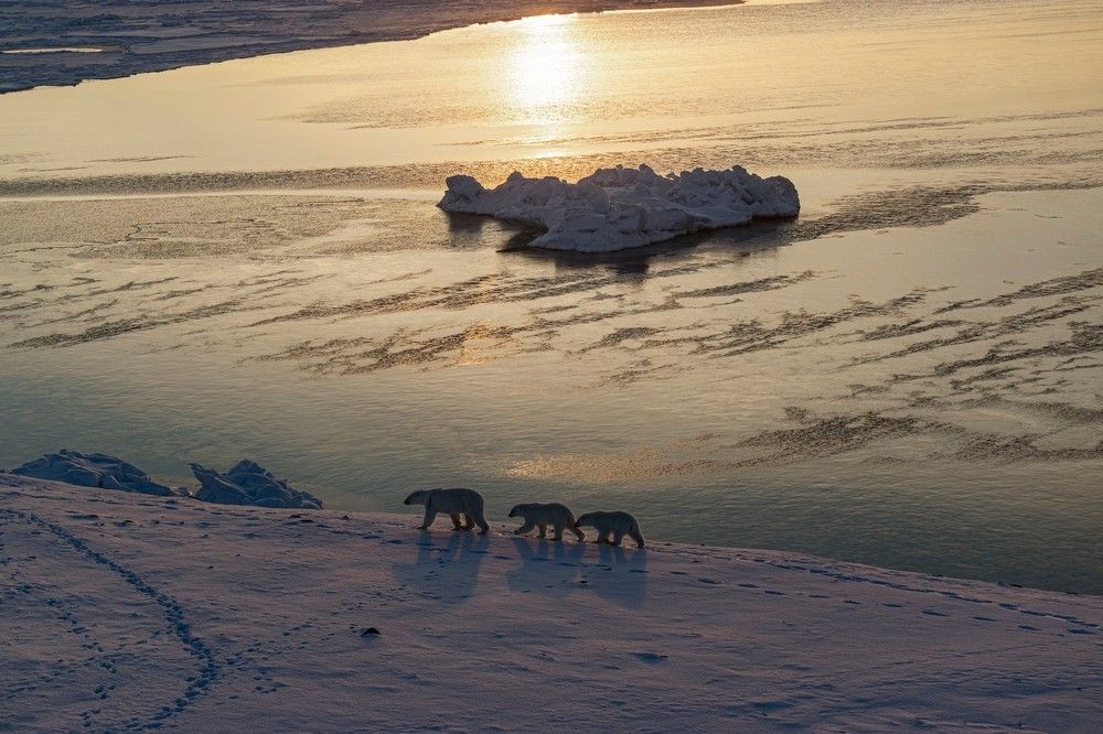 Photograph by Алексей Логинов