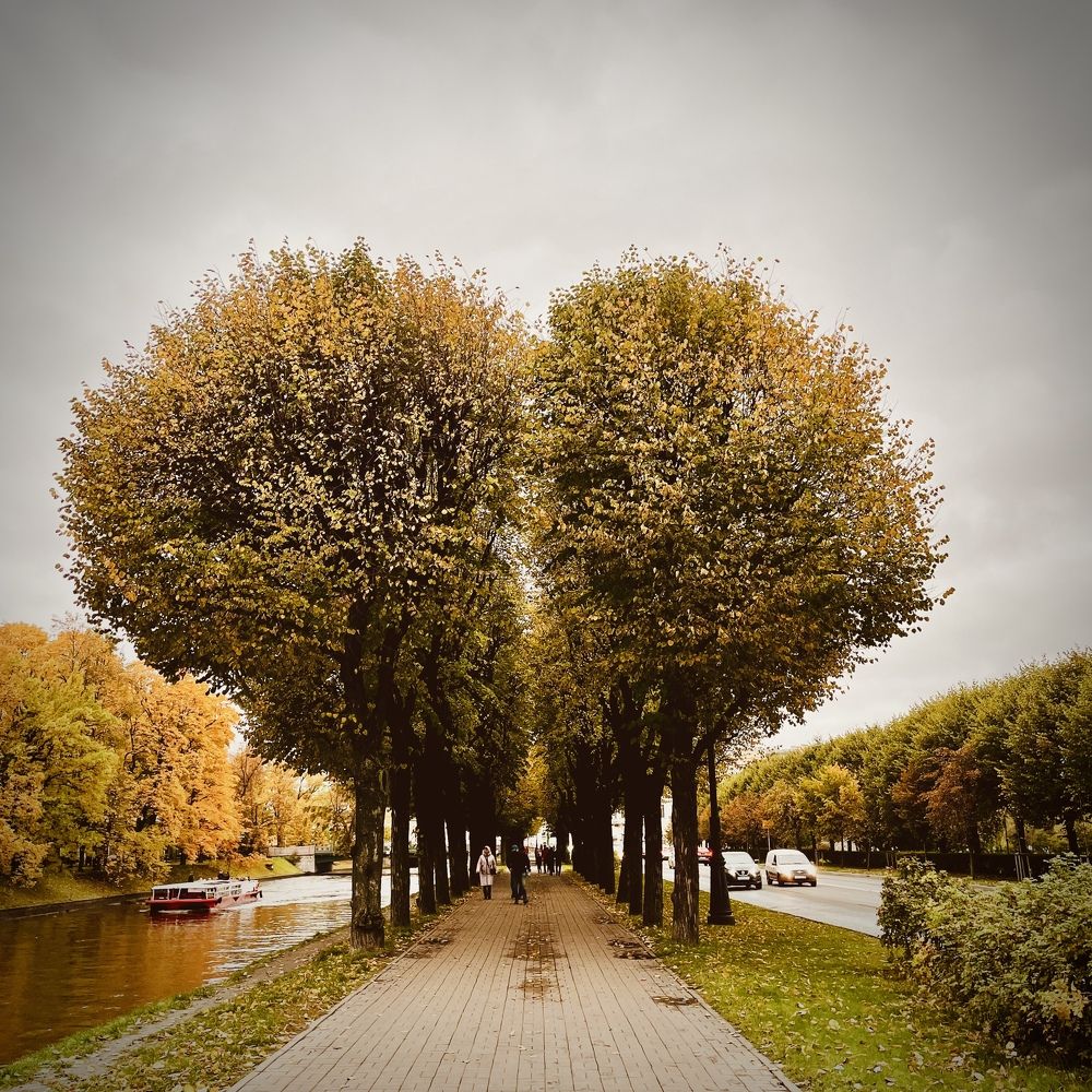 Photograph by Анастасия Милютина