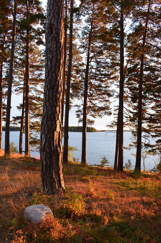 Photograph by Юлия Нечаева