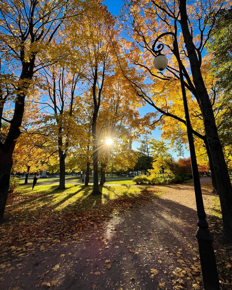 Photograph by Анастасия Милютина