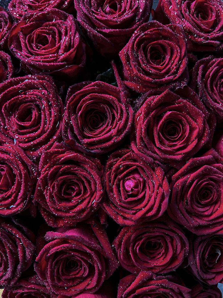 Photograph by Стрелкина Алиса