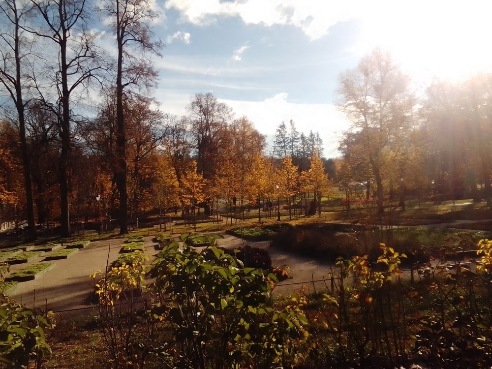 Photograph by Irina Mihailovskaya