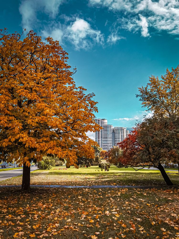 Фотография автора Tatiana Kots