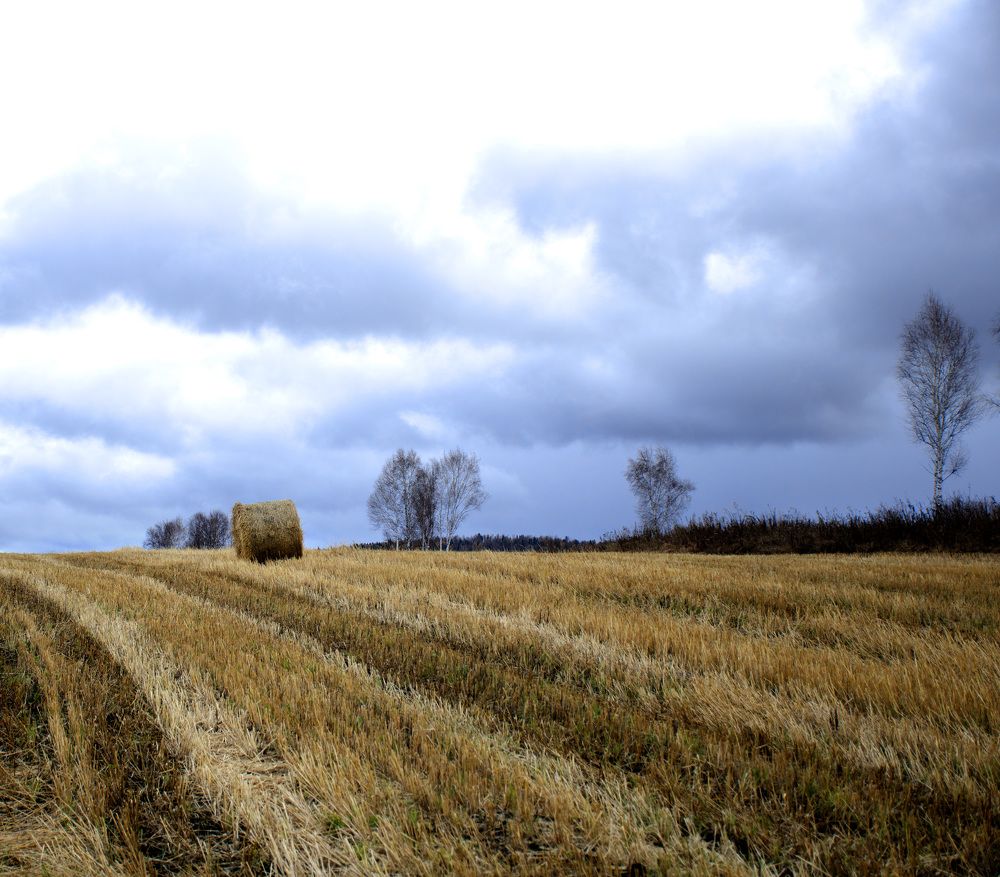 Photograph by Эльвира Быкова