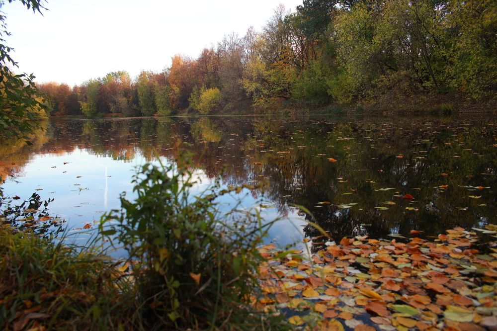 Photograph by Игорь Кад