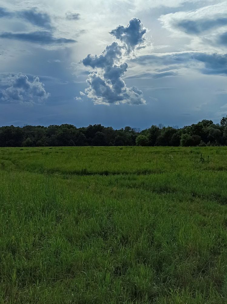 Photograph by Ирина Дегтярева