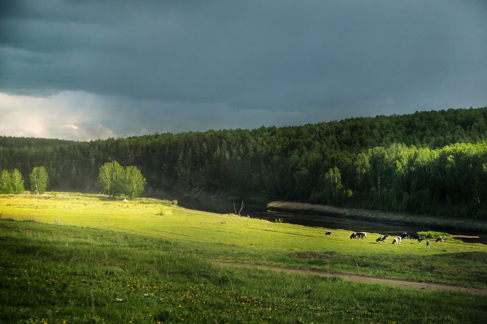 Photograph by Елена Граф