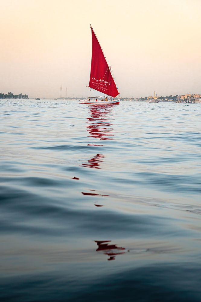 Фотография автора David Vargas