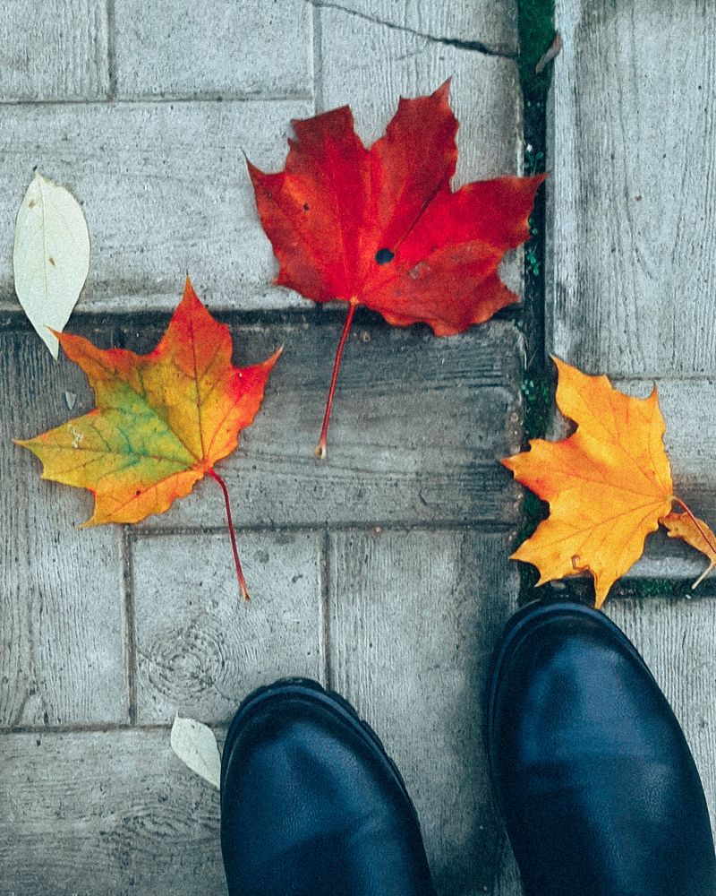 Photograph by Ольга Серова