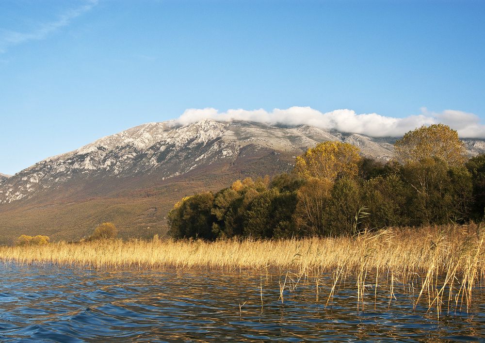 Photograph by Stojan Saveski