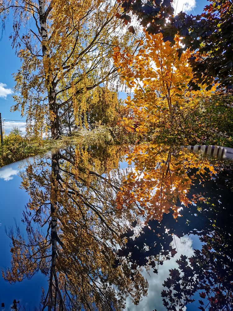 Photograph by Виктория Федосеенко