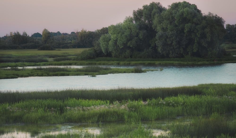 Фотография автора Gleb Kolobaev