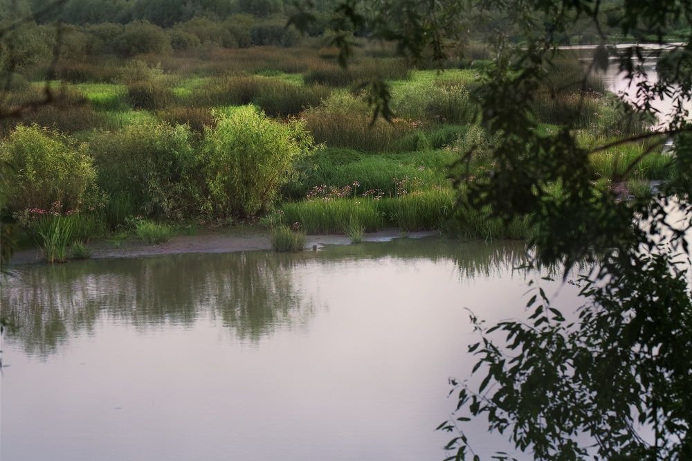 Фотография автора Gleb Kolobaev