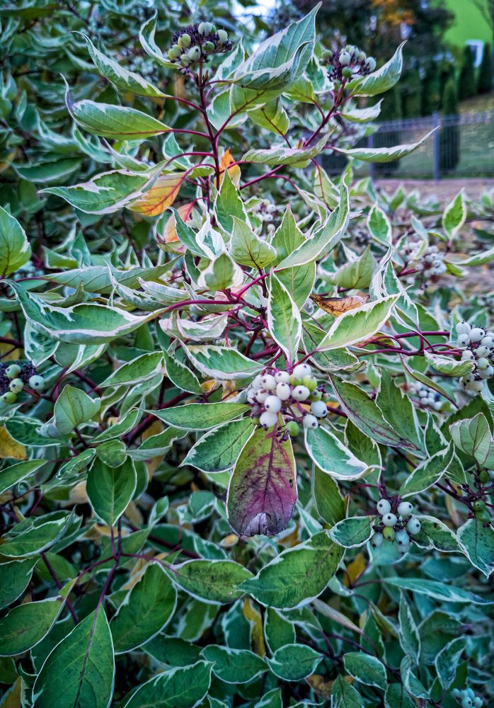 Photograph by Виктория Федосеенко