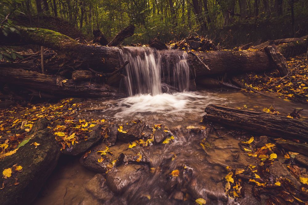 Photograph by Рымаров Александр