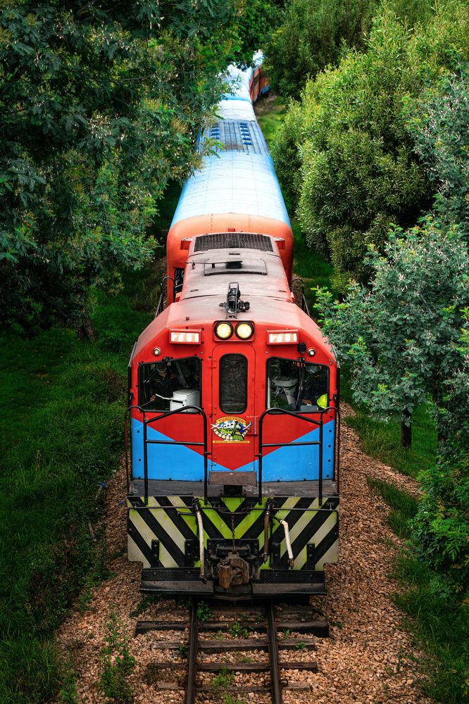 Фотография автора David Vargas