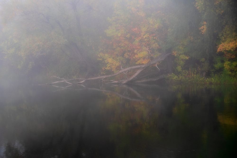 Photograph by Юрий Москалев