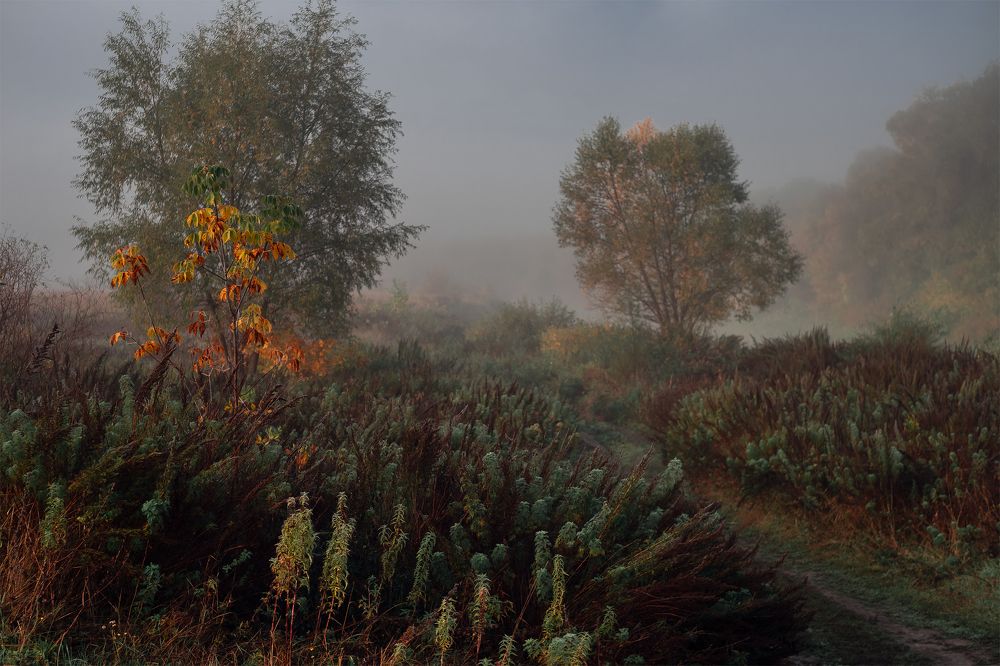 Photograph by Юрий Москалев