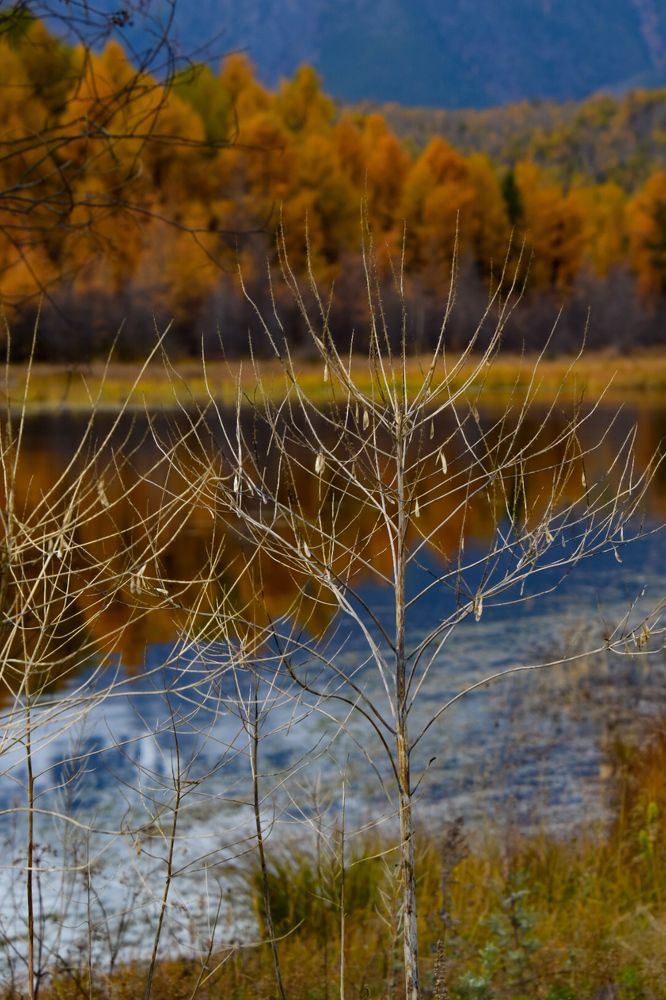 Photograph by Марина