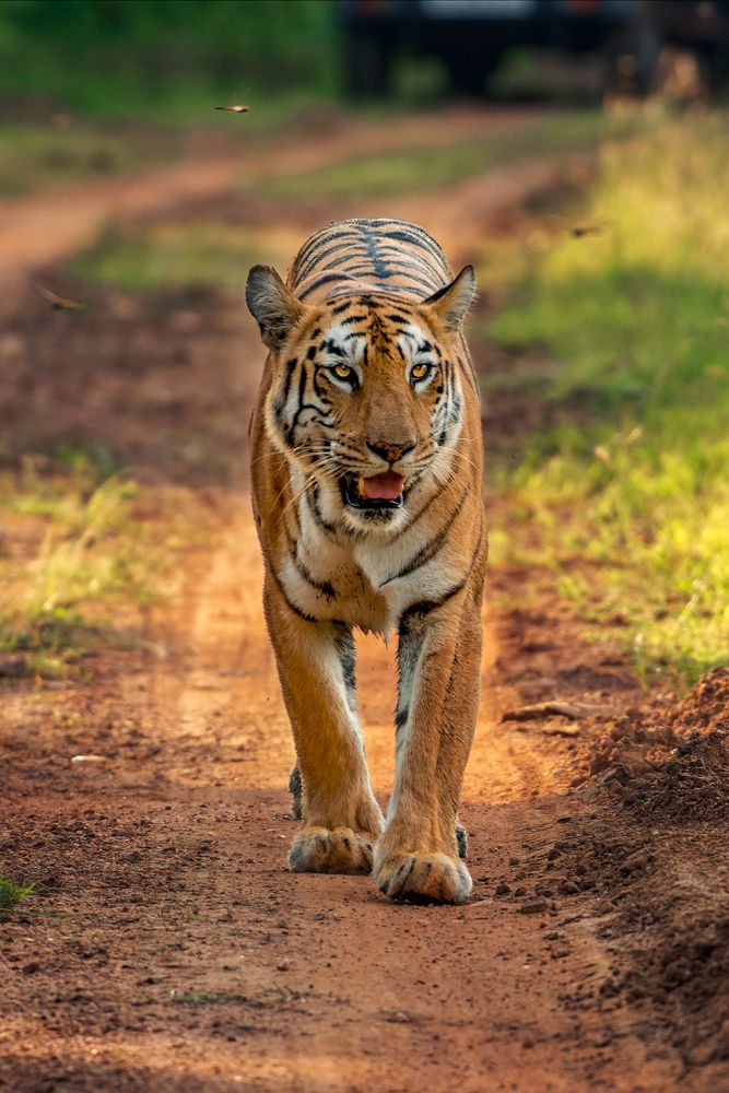 Photograph by 9503417795