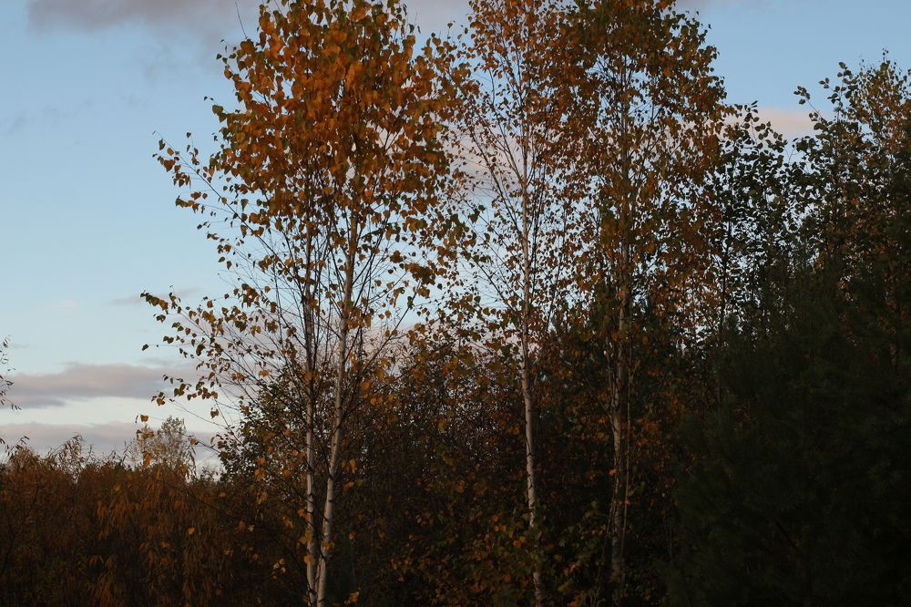 Photograph by Михаил Костыря