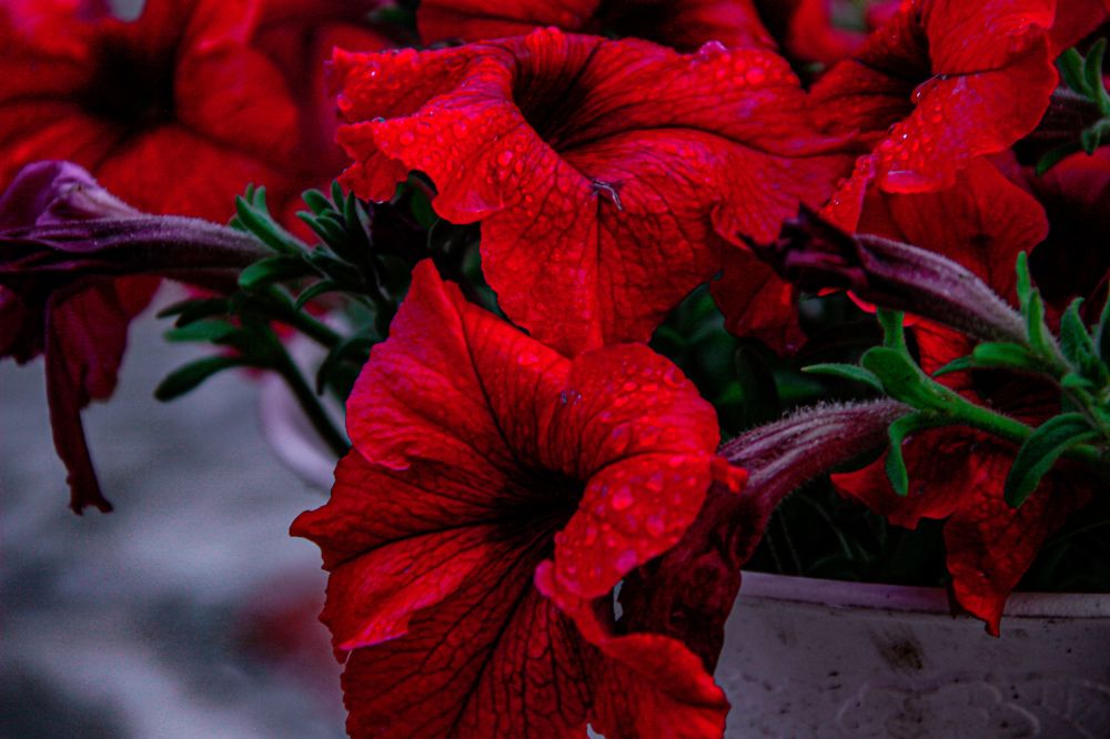 Фотография автора Вадим Набиуллин