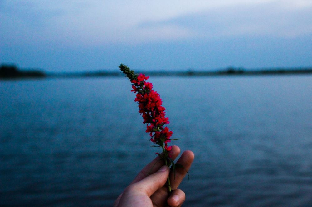 Фотография автора Вадим Набиуллин