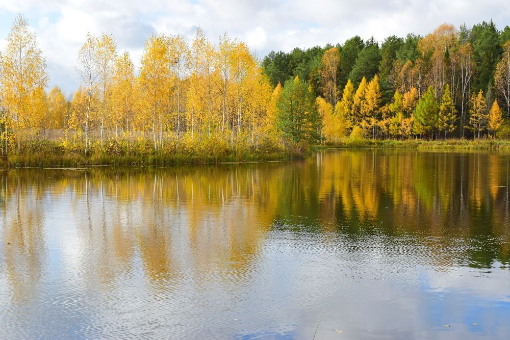 На тихом берегу.