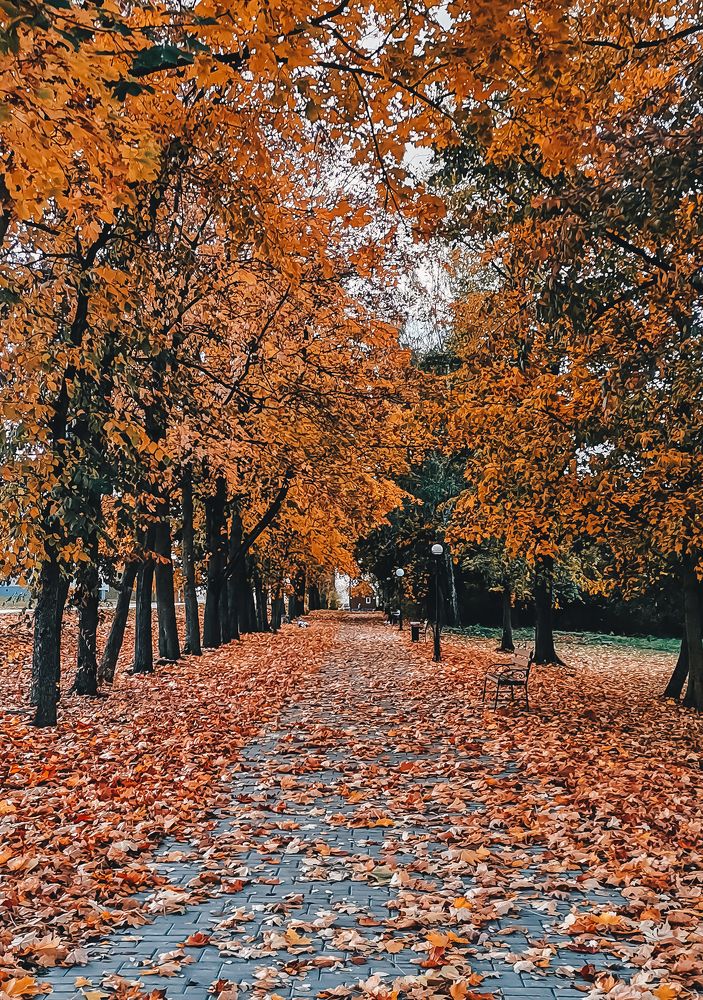 Photograph by Александра Якуцевич