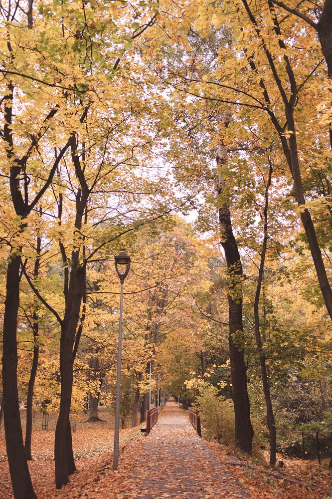 Photograph by Vialeta