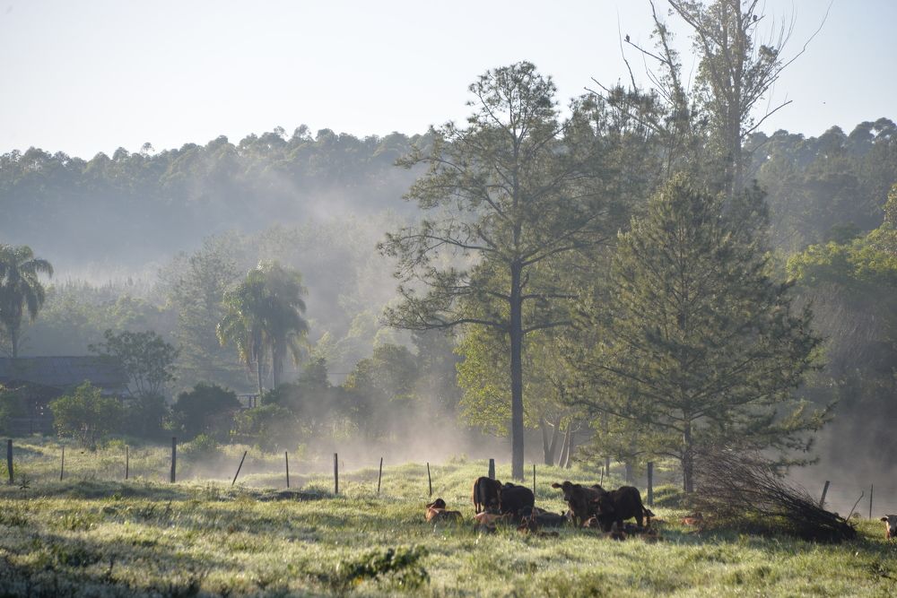 Photograph by Ricardo Kimmich