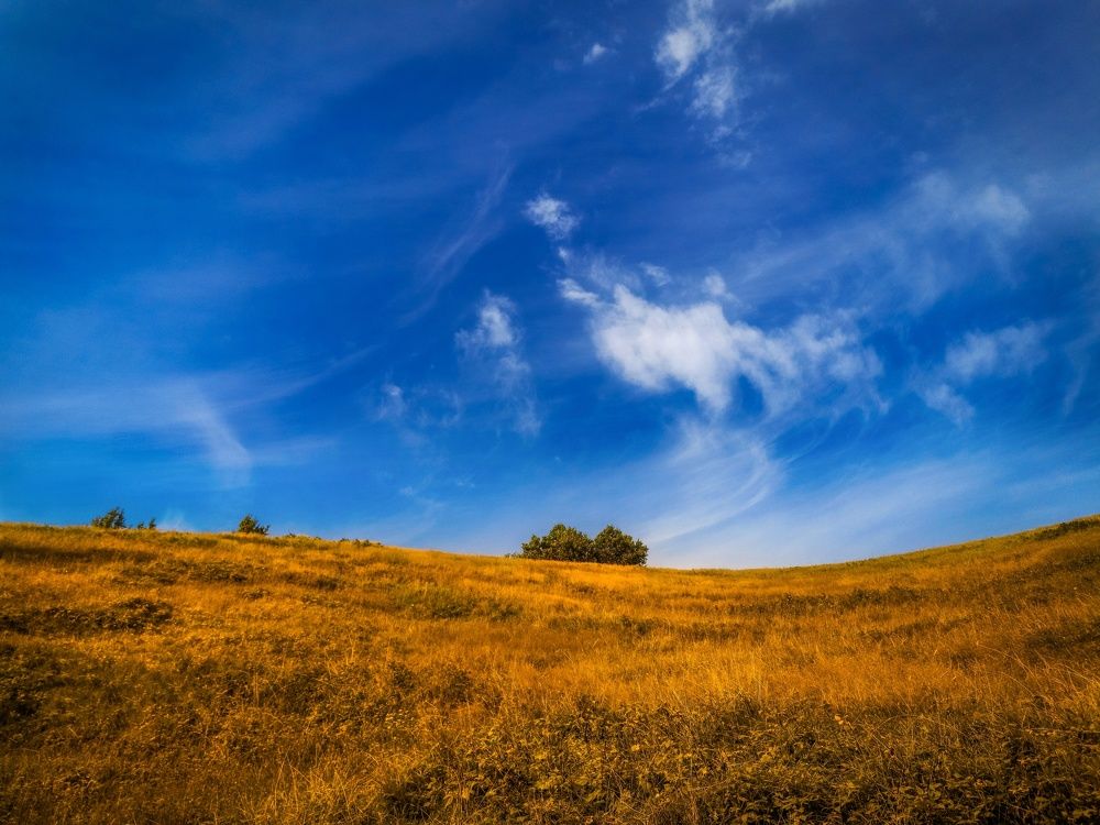 Photograph by Вероника Романенко