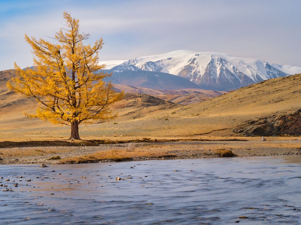 Photograph by Леонтьев Константин