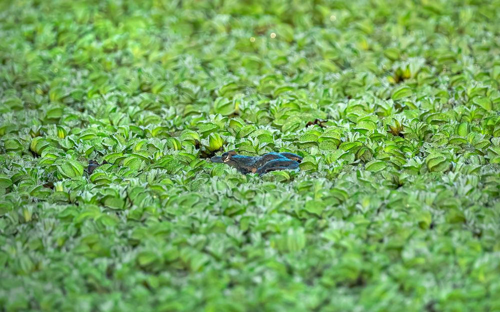 Фотография автора Paul Manjooran