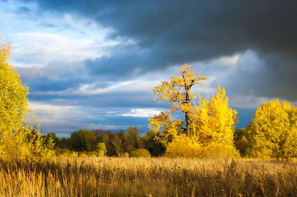 Photograph by Александр Середа