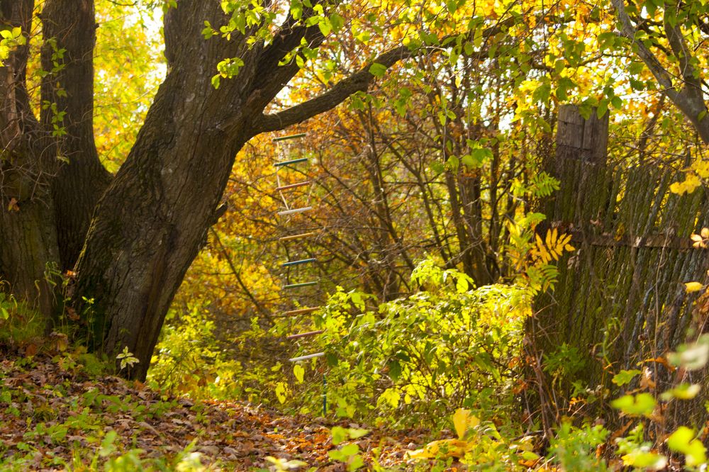 Photograph by Александр Середа