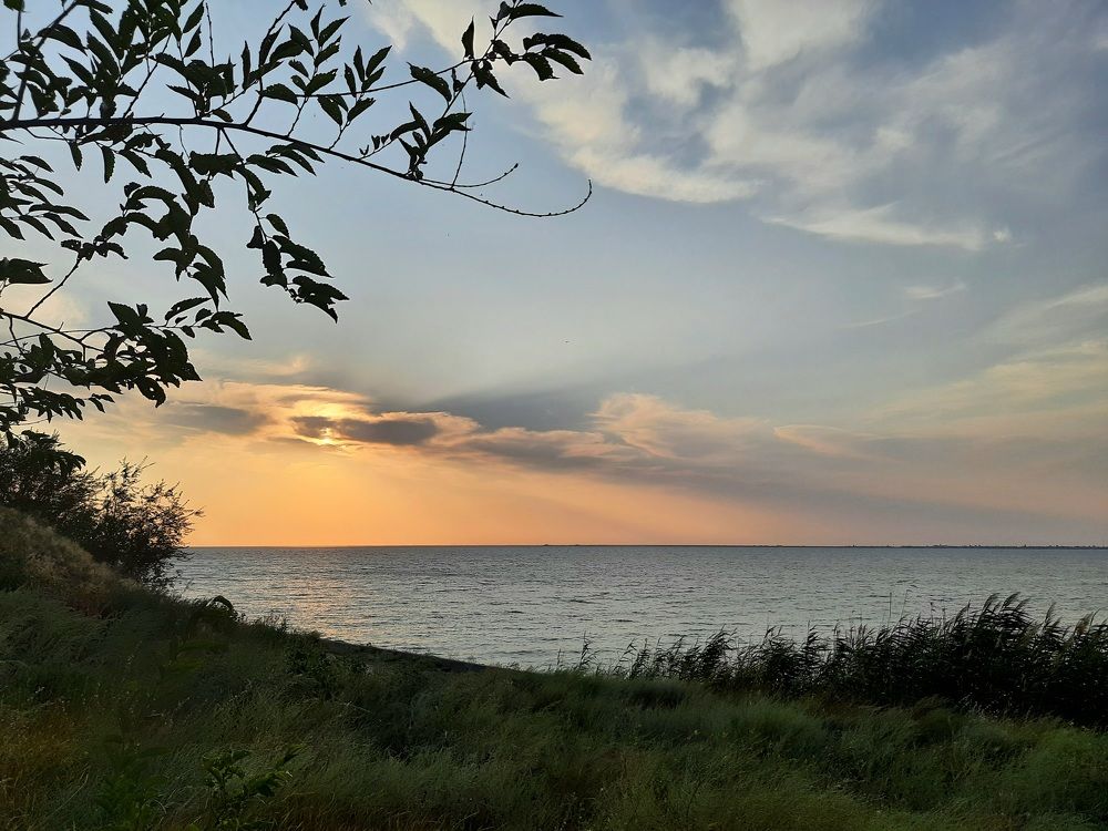 Photograph by Анжелика Сороколетова