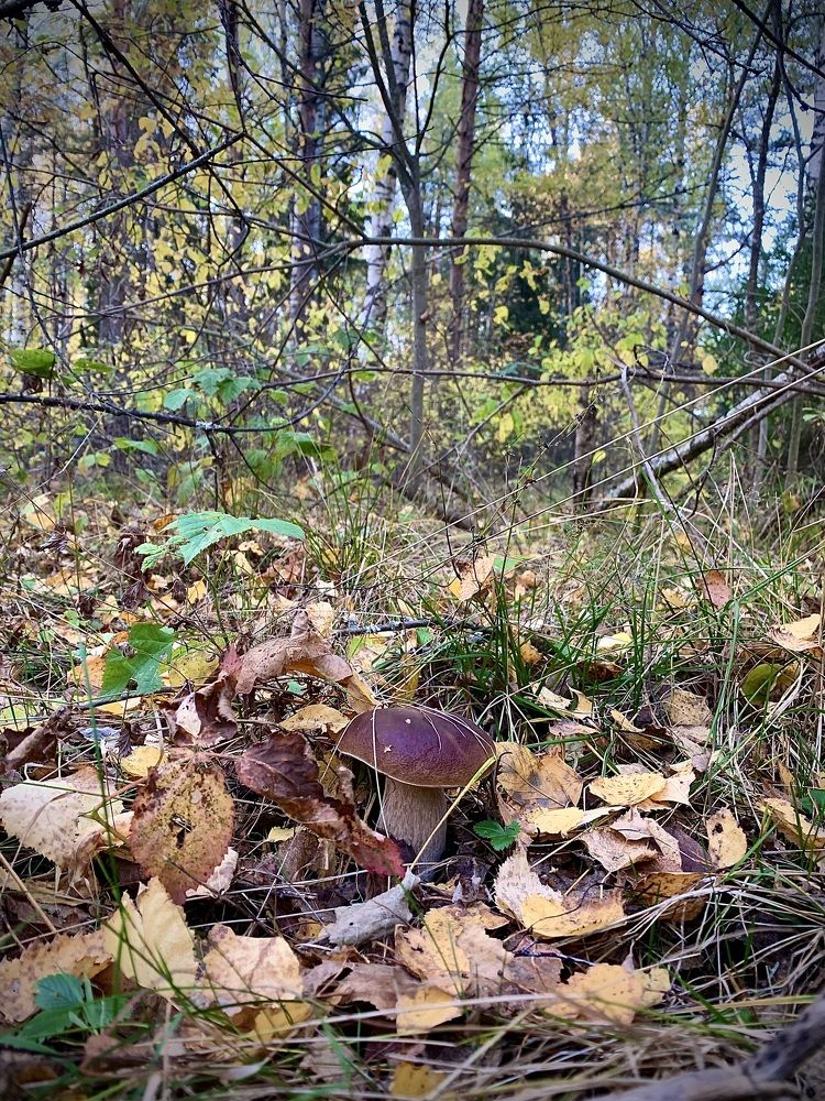 Photograph by Елена Киселева