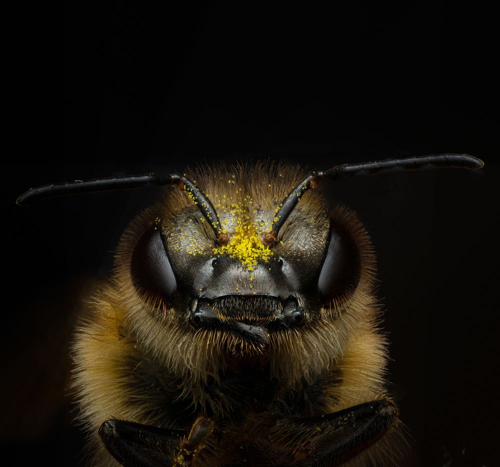 Photograph by Сергей Зелинский