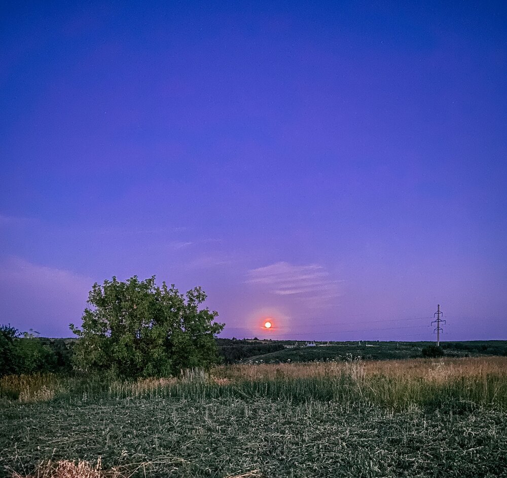 Photograph by Катерина