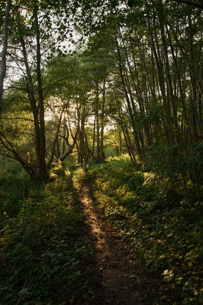 Photograph by Александр Гоцуляк