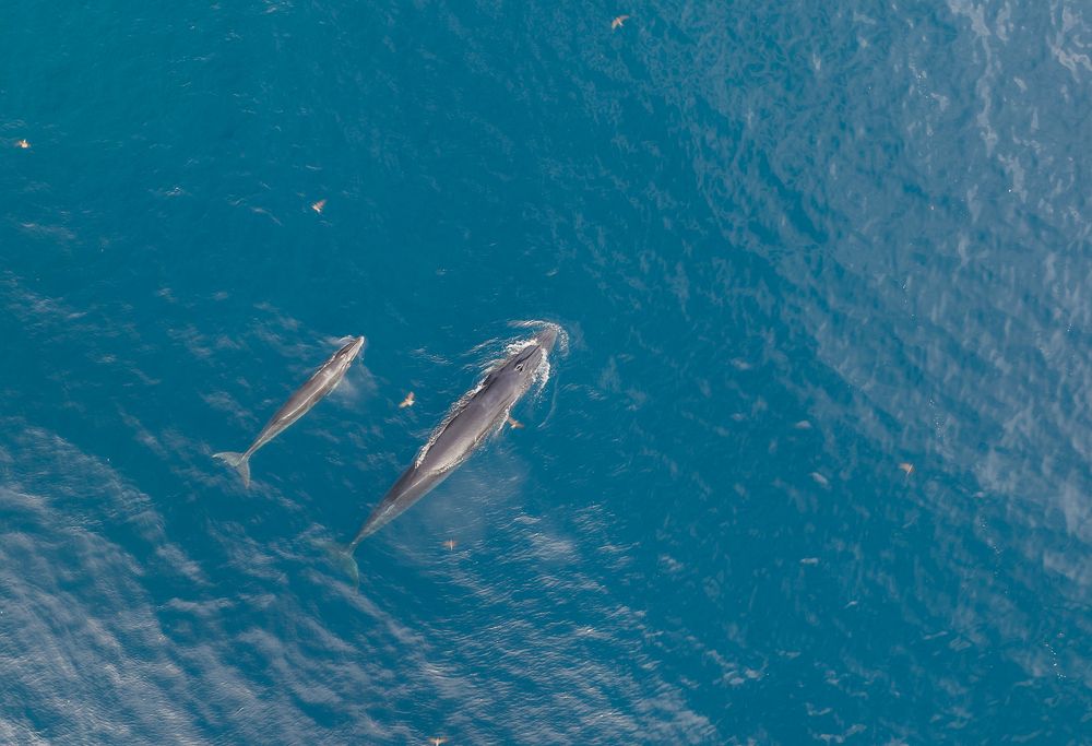 Photograph by Tuấn Nguyễn Tấn