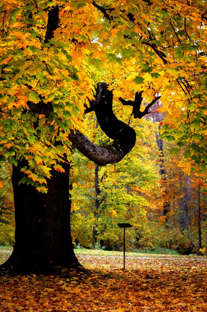 Photograph by Galina