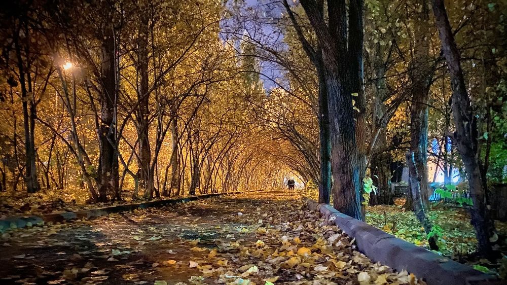 Photograph by Evgeniy Kuz’min