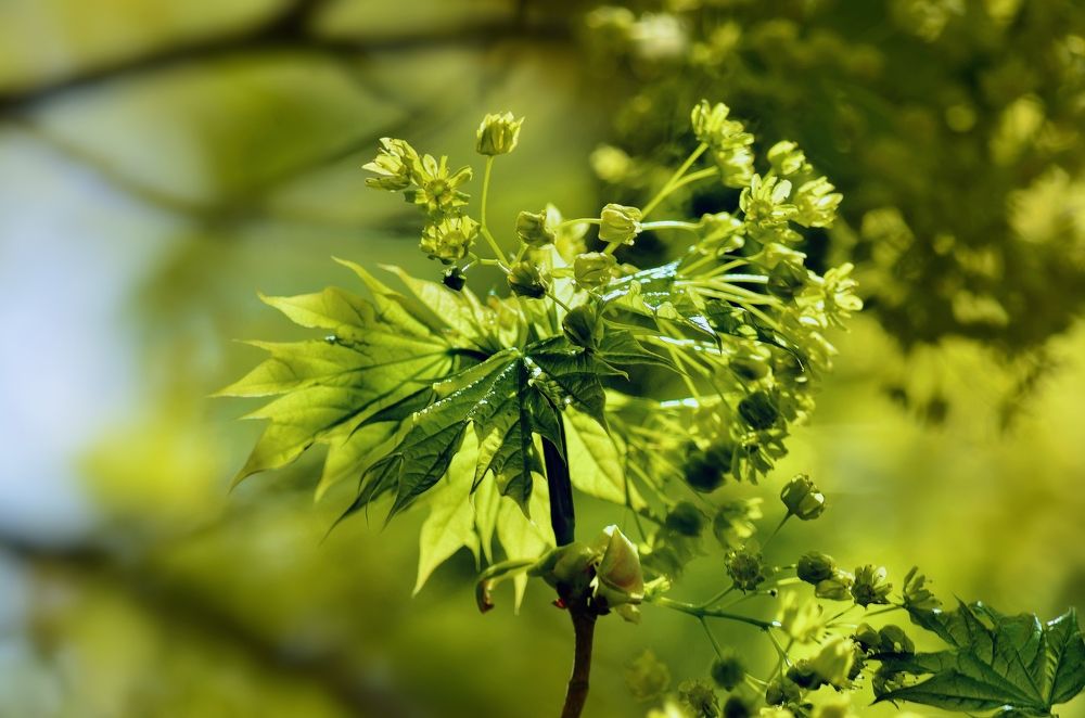 Photograph by Наталья Иванова