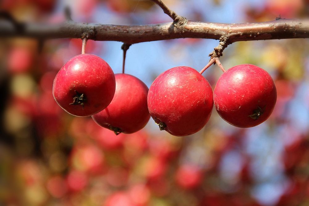 Photograph by Любовь Саханова