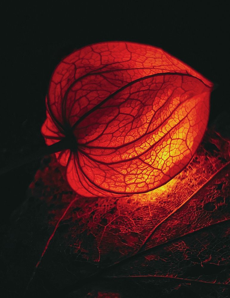 Photograph by Анна Чичилова