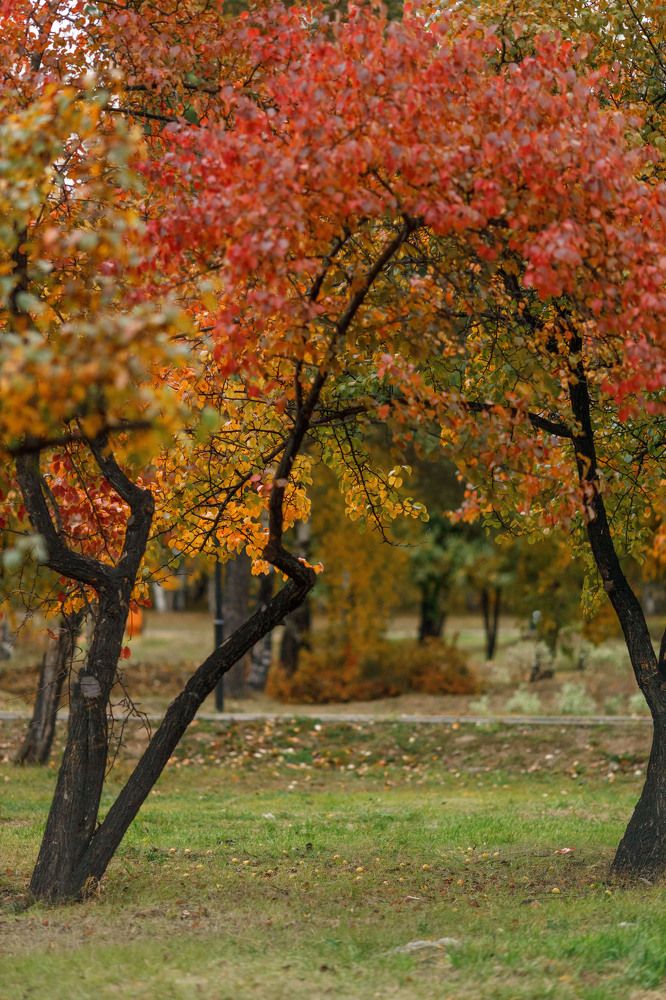 Photograph by Ольга Копылова