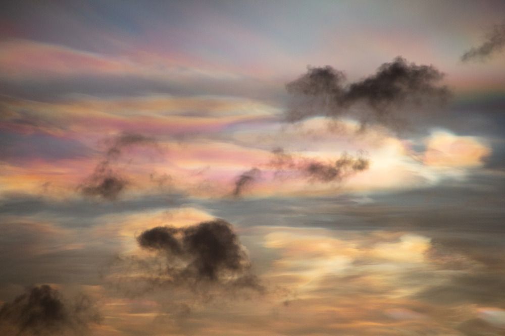 Photograph by Katherine Einarsson