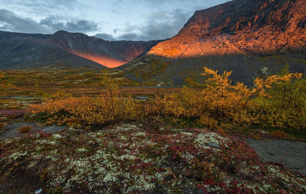 Photograph by Владимир Брагилевский